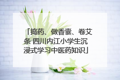 捣药、做香囊、卷艾条 四川内江小学生沉浸式学习中医药知识