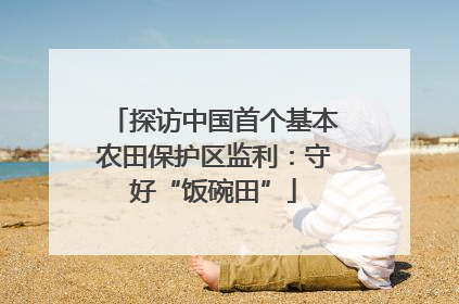 探访中国首个基本农田保护区监利：守好“饭碗田”