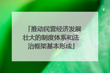 推动民营经济发展壮大的制度体系和法治框架基本形成