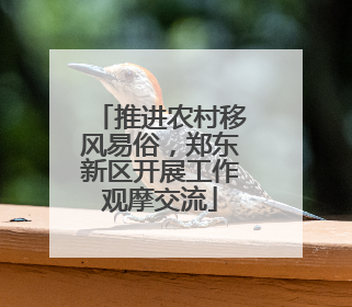 推进农村移风易俗，郑东新区开展工作观摩交流