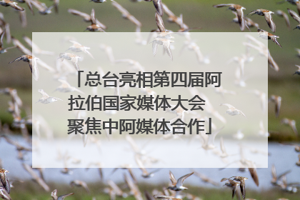 总台亮相第四届阿拉伯国家媒体大会 聚焦中阿媒体合作