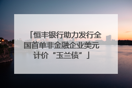 恒丰银行助力发行全国首单非金融企业美元计价“玉兰债”