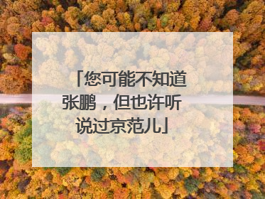 您可能不知道张鹏，但也许听说过京范儿