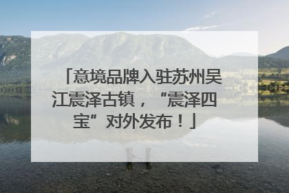 意境品牌入驻苏州吴江震泽古镇，“震泽四宝”对外发布！
