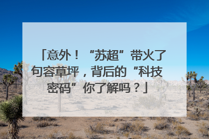 意外！“苏超”带火了句容草坪，背后的“科技密码”你了解吗？