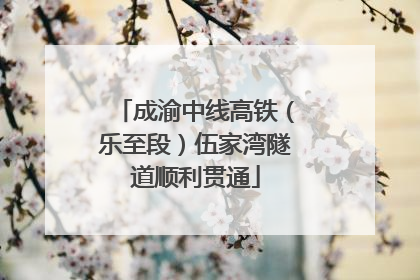 成渝中线高铁（乐至段）伍家湾隧道顺利贯通