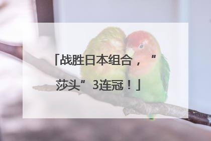 战胜日本组合，“莎头”3连冠！