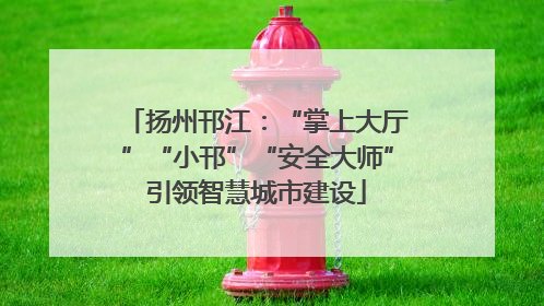 扬州邗江：“掌上大厅”“小邗”“安全大师”引领智慧城市建设