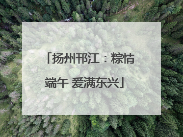 扬州邗江：粽情端午 爱满东兴