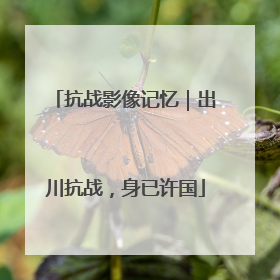 抗战影像记忆｜出川抗战，身已许国
