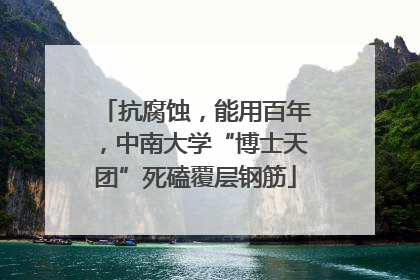 抗腐蚀，能用百年，中南大学“博士天团”死磕覆层钢筋