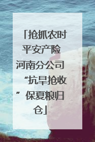 抢抓农时 平安产险河南分公司“抗旱抢收”保夏粮归仓