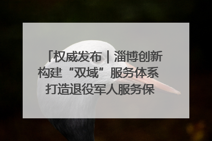 权威发布｜淄博创新构建“双域”服务体系 打造退役军人服务保障“淄博样板”