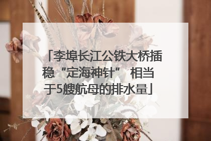 李埠长江公铁大桥插稳“定海神针” 相当于5艘航母的排水量