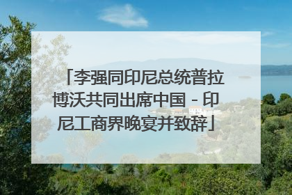 李强同印尼总统普拉博沃共同出席中国－印尼工商界晚宴并致辞