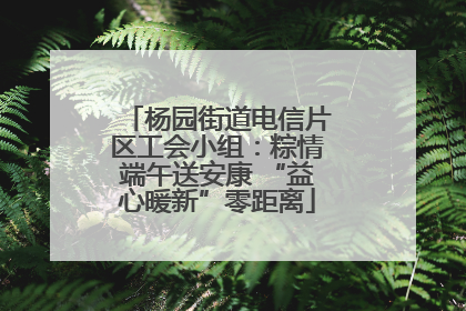 杨园街道电信片区工会小组：粽情端午送安康 “益心暖新”零距离