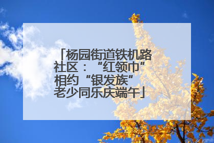 杨园街道铁机路社区：“红领巾”相约“银发族” 老少同乐庆端午