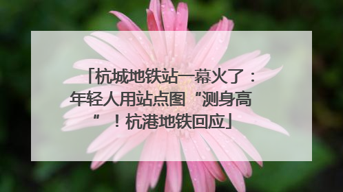 杭城地铁站一幕火了：年轻人用站点图“测身高”！杭港地铁回应