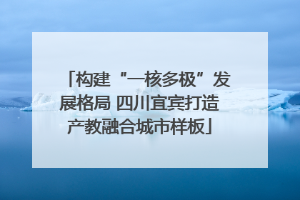 构建“一核多极”发展格局 四川宜宾打造产教融合城市样板