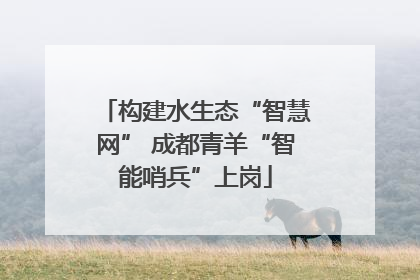 构建水生态“智慧网” 成都青羊“智能哨兵”上岗