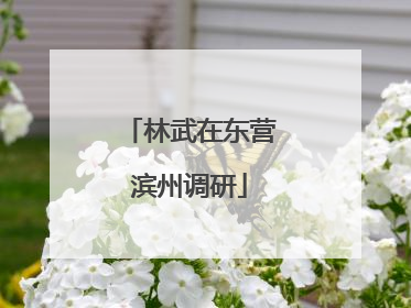 林武在东营滨州调研
