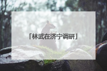 林武在济宁调研