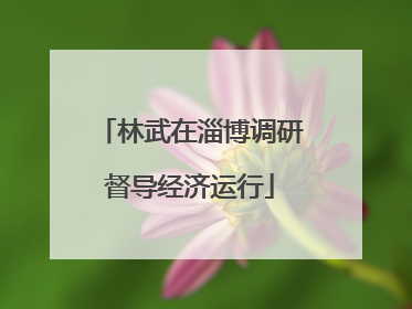 林武在淄博调研督导经济运行
