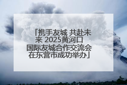 携手友城 共赴未来 2025黄河口国际友城合作交流会在东营市成功举办