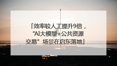 效率较人工提升9倍，“AI大模型+公共资源交易”场景在启东落地