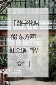 数字化赋能 东方雨虹全链“智变”