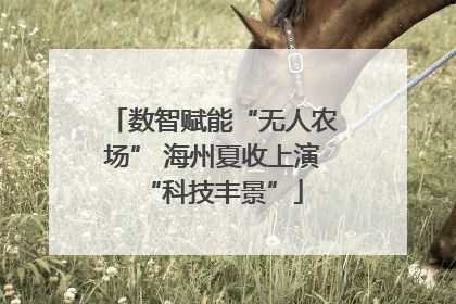 数智赋能“无人农场” 海州夏收上演“科技丰景”