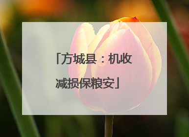 方城县：机收减损保粮安
