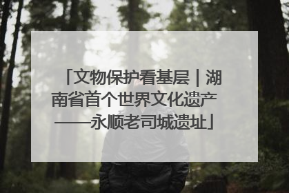 文物保护看基层｜湖南省首个世界文化遗产——永顺老司城遗址
