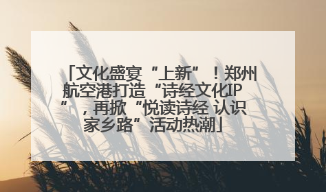 文化盛宴“上新”！郑州航空港打造“诗经文化IP”，再掀“悦读诗经 认识家乡路”活动热潮