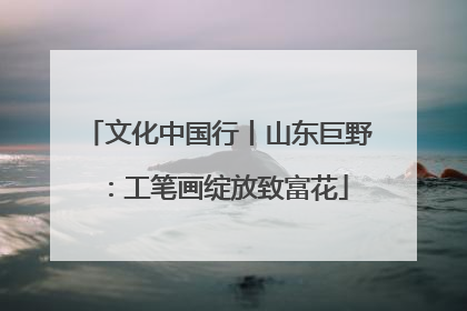 文化中国行丨山东巨野：工笔画绽放致富花