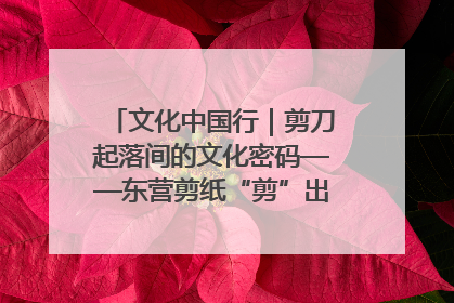 文化中国行｜剪刀起落间的文化密码——东营剪纸“剪”出非遗传承与现代生活的融合之道