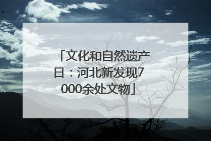 文化和自然遗产日：河北新发现7000余处文物
