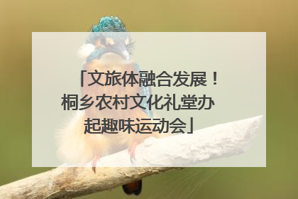 文旅体融合发展！桐乡农村文化礼堂办起趣味运动会
