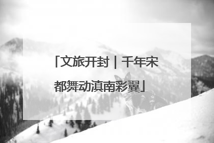 文旅开封｜千年宋都舞动滇南彩翼