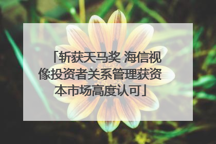 斩获天马奖 海信视像投资者关系管理获资本市场高度认可
