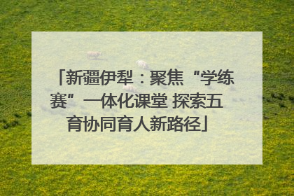 新疆伊犁：聚焦“学练赛”一体化课堂 探索五育协同育人新路径