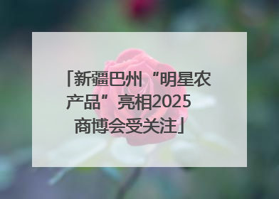 新疆巴州“明星农产品”亮相2025商博会受关注