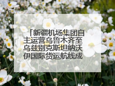 新疆机场集团自主运营乌鲁木齐至乌兹别克斯坦纳沃伊国际货运航线成功首航