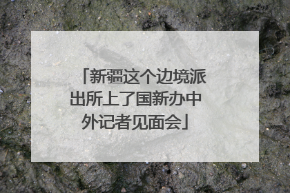 新疆这个边境派出所上了国新办中外记者见面会