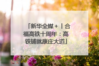 新华全媒＋丨合福高铁十周年：高铁铺就康庄大道