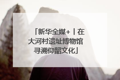 新华全媒+丨在大河村遗址博物馆寻溯仰韶文化
