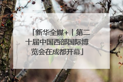 新华全媒+丨第二十届中国西部国际博览会在成都开幕