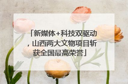 新媒体+科技双驱动，山西两大文物项目斩获全国最高荣誉