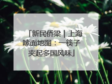 新民侨梁｜上海嗦面地图：一筷子夹起多国风味