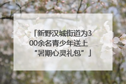 新野汉城街道为300余名青少年送上“暑期心灵礼包”